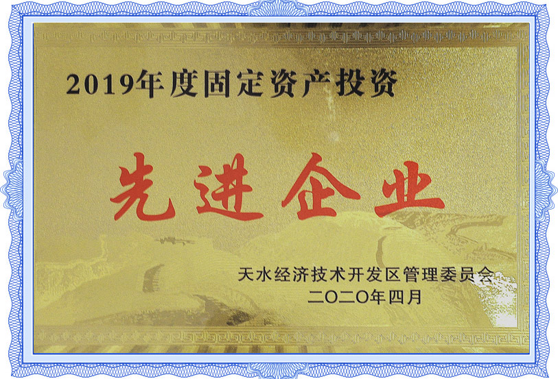 2019年固定資產(chǎn)投資先進(jìn)企業(yè)